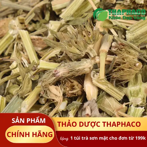 Mua Ích Mẫu Khô Ở Đâu Uy Tín TP.HCM? Tấn Phát