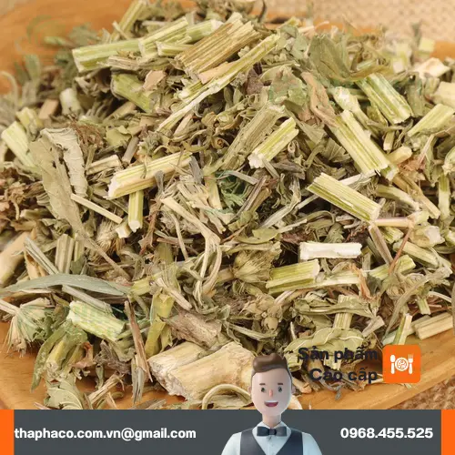Quy trình sấy khô ích mẫu hiện đại, giữ nguyên dược tính tại Dược Liệu Tấn Phát