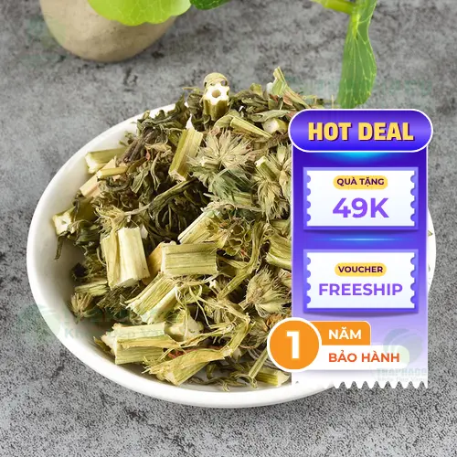 Cách pha trà ích mẫu sấy khô đúng chuẩn