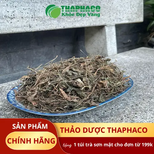 Lá mã đề sấy khô giữ nguyên dược tính