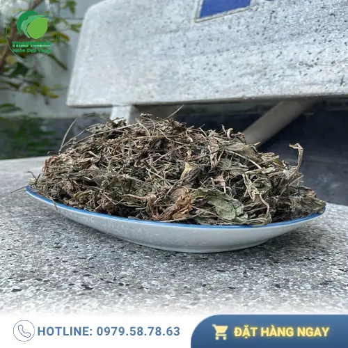 Pha trà mã đề đúng cách để giảm cân hiệu quả