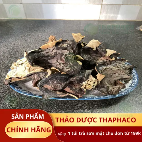 Công dụng hỗ trợ sức khỏe của mộc nhĩ