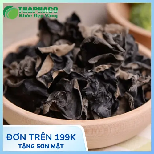 Công dụng hỗ trợ sức khỏe của mộc nhĩ khô THAPHACO