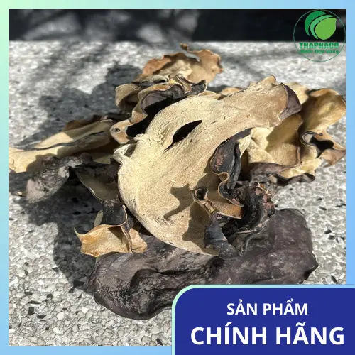 Sơ chế mộc nhĩ khô đúng cách