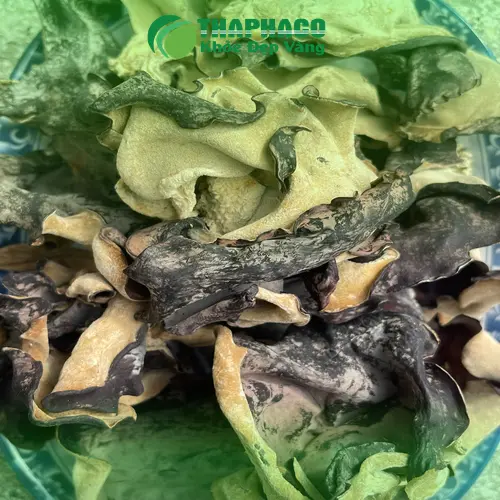 Hướng dẫn chế biến mộc nhĩ khô THAPHACO