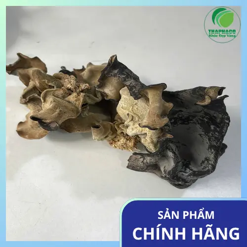Mua mộc nhĩ khô THAPHACO