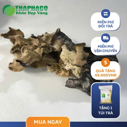 Mộc nhĩ là nguyên liệu chế biến nhiều món ăn ngon