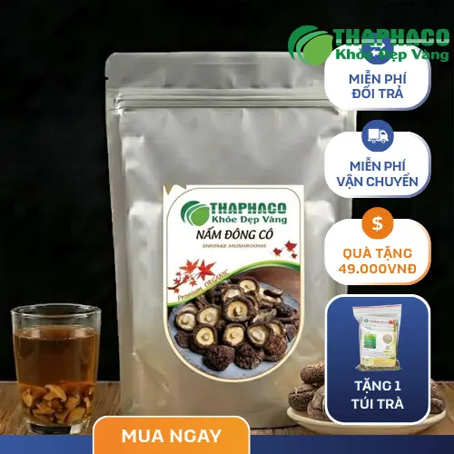 Địa chỉ bán nấm đông cô khô tại TP.HCM