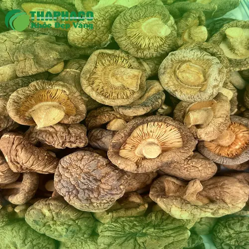 Liên hệ mua nấm đông cô khô tại THAPHACO