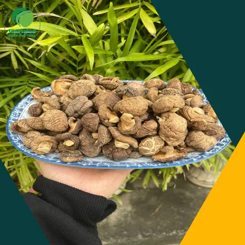 Sản phẩm nấm đông cô khô tiện lợi cho mọi gia đình