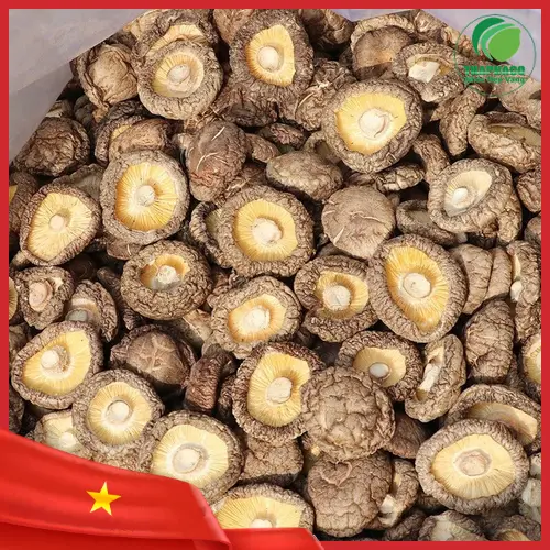 Mua nấm đông cô sấy khô tại THAPHACO