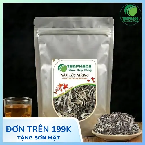 Hình ảnh nấm lộc nhung tươi