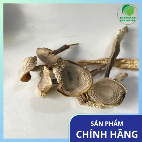 Nấm lộc nhung khô đạt chuẩn chất lượng