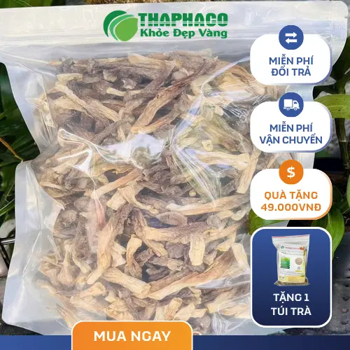 Công dụng hỗ trợ sức khỏe của nấm lộc nhung