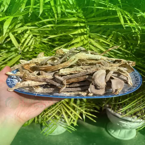 Các loại vitamin và khoáng chất có trong nấm lộc nhung, tốt cho người ăn chay