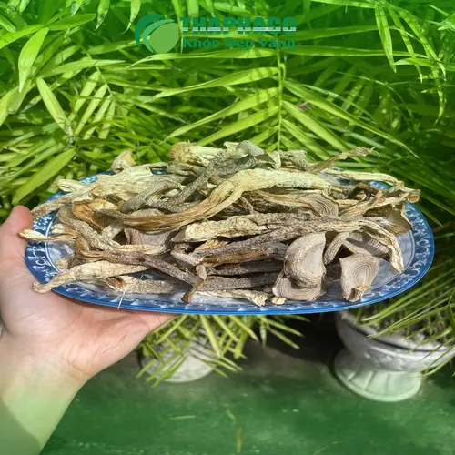 Công dụng của nấm lộc nhung khô