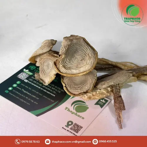 Nấm lộc nhung nấu cháo