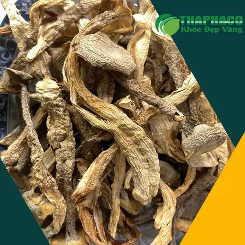Nấm lộc nhung khô với chính sách giá sỉ hấp dẫn tại THAPHACO