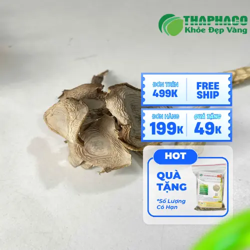 Món nấm lộc nhung xào sả ớt chay thơm ngon hấp dẫn