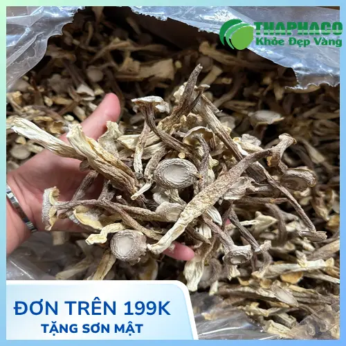 Giá Nấm Lộc Nhung Khô tại THAPHACO