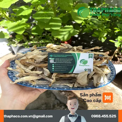 Pha trà từ nấm lộc nhung khô