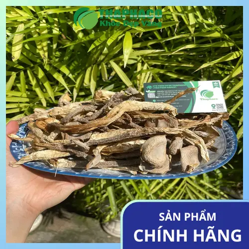 Bảo quản nấm lộc nhung khô đúng cách