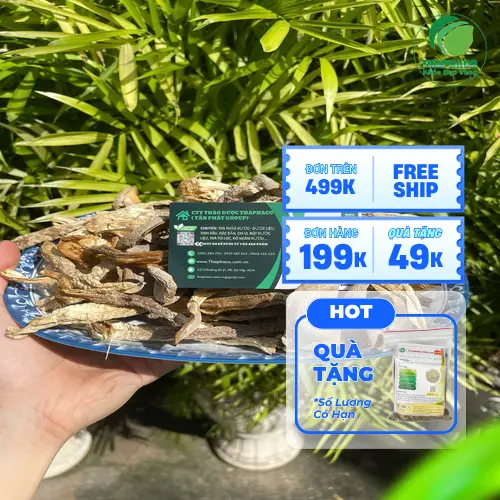 Giá Nấm Lộc Nhung sấy khô THAPHACO và địa chỉ mua hàng