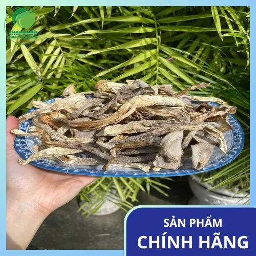 Nấm lộc nhung chất lượng cao