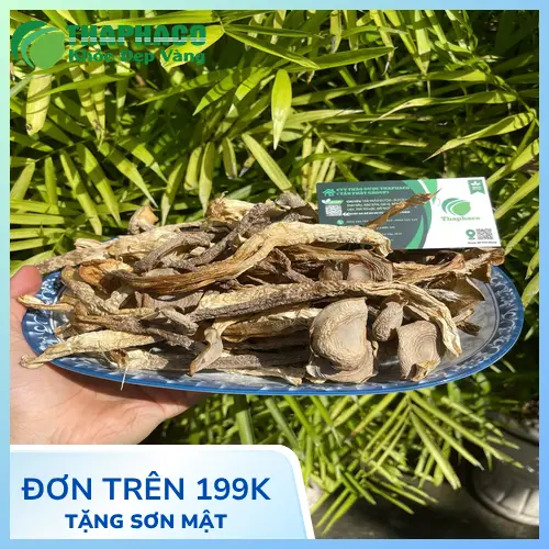 THAPHACO luôn sẵn sàng giải đáp thắc mắc về nấm lộc nhung khô sỉ