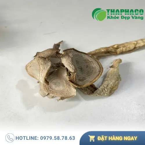 Lưu ý khi sử dụng nấm lộc nhung