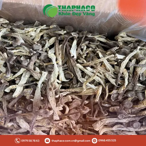 Thành quả các món ăn từ nấm lộc nhung