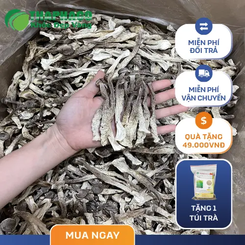 Lưu ý khi lựa chọn và sử dụng nấm lộc nhung để đảm bảo an toàn