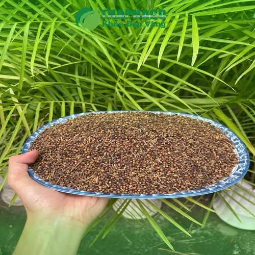 Pha trà nụ vối nóng thơm ngon tại nhà