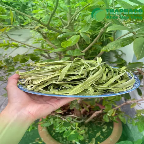 Món gỏi rau tiến vua tôm thịt hấp dẫn