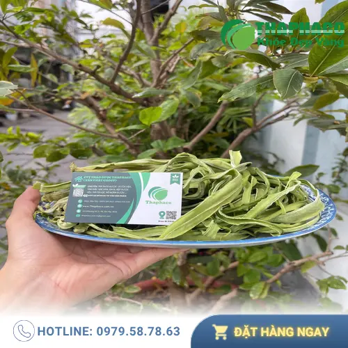 Lưu ý khi sử dụng và bảo quản rau tiến vua khô