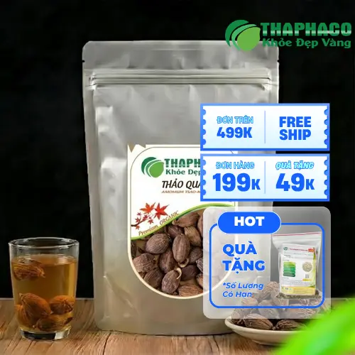 Thảo quả khô tự nhiên cao cấp Dược Liệu Tấn Phát