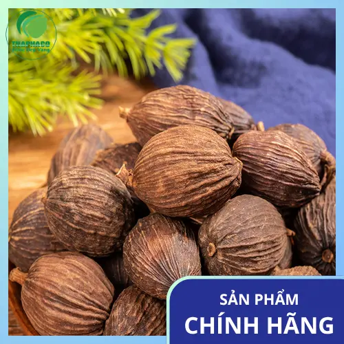 Thảo Quả Sấy Khô TP.HCM: Địa Chỉ Uy Tín – Dược Liệu Tấn Phát