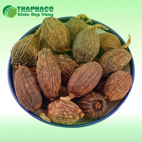 Hình ảnh thảo quả tươi và khô sau khi được thu hoạch