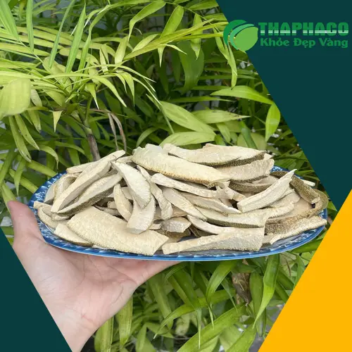 Hướng dẫn bảo quản vỏ bưởi khô đúng cách để duy trì chất lượng sản phẩm