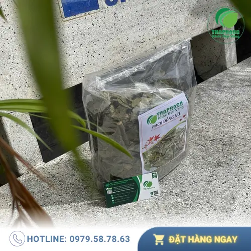 Bạch Đồng Nữ khô được phơi sấy đúng quy trình