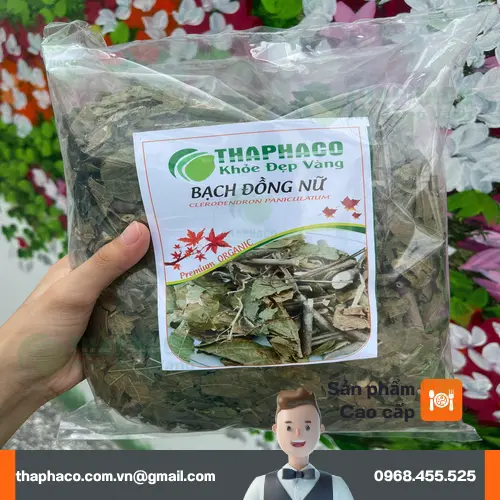 Bạch Đồng Nữ khô loại 1 tại THAPHACO