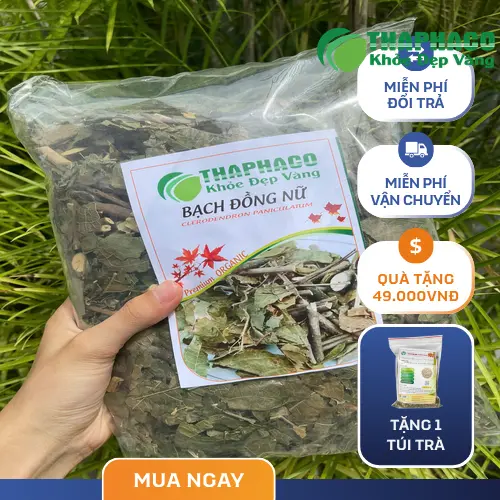 Lưu ý khi sử dụng Bạch Đồng Nữ an toàn
