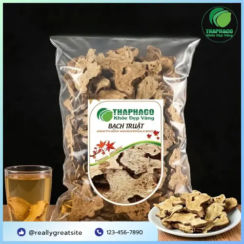 Hình ảnh củ Bạch Truật khô đã được sơ chế