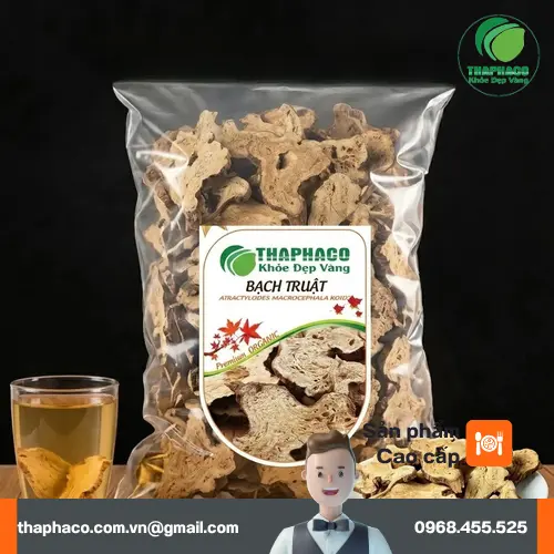 Bạch Truật khô nguyên củ