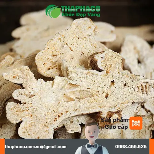 Hình ảnh Bạch Truật được sử dụng trong một bài thuốc đông y