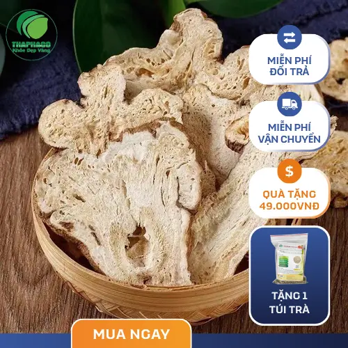 Lát Bạch Truật khô đã được thái lát và sơ chế