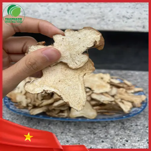 Bạch Truật được sơ chế và phơi khô