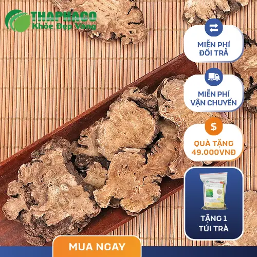 Bạch Truật và thuốc tây