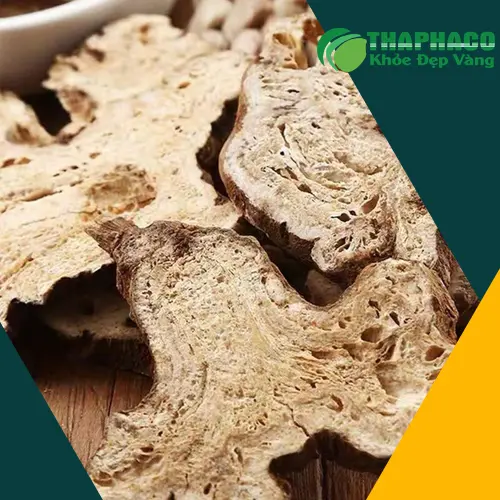 Bạch Truật khô nguyên chất tại THAPHACO