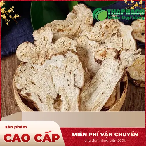 Bạch Truật được đóng gói cẩn thận tại THAPHACO